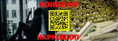 стаф Каменск-Шахтинский