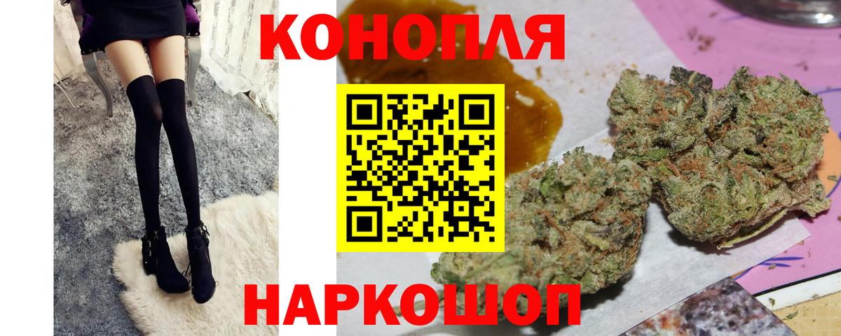 Шишки марихуана марихуана Нижнекамск